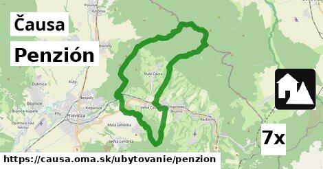 Penzión, Čausa