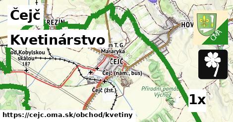 Kvetinárstvo, Čejč