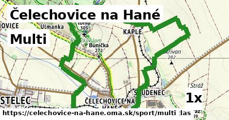 Multi, Čelechovice na Hané