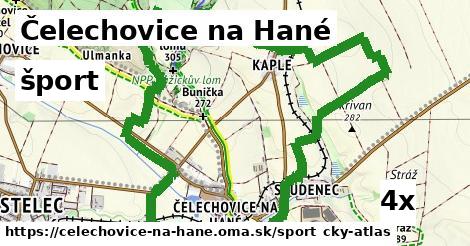 šport v Čelechovice na Hané