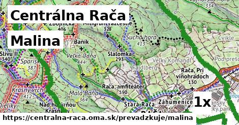 Malina, Centrálna Rača