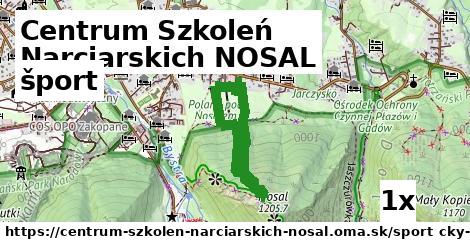 šport v Centrum Szkoleń Narciarskich NOSAL