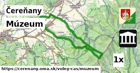 Múzeum, Čereňany
