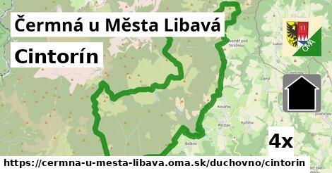 cintorín v Čermná u Města Libavá