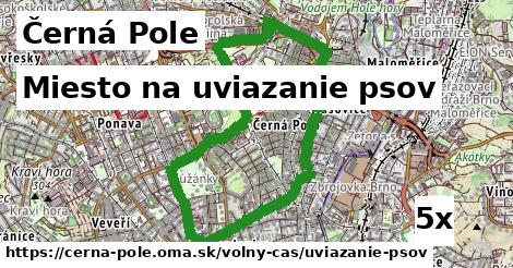 Miesto na uviazanie psov, Černá Pole