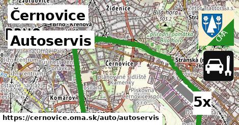 Autoservis, Černovice