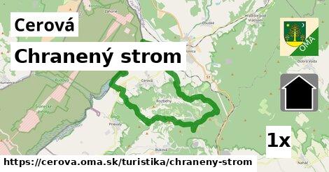 Chranený strom, Cerová