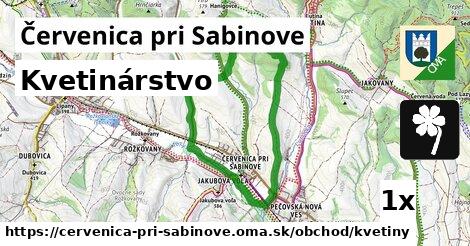 Kvetinárstvo, Červenica pri Sabinove