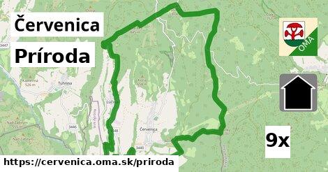 príroda v Červenica