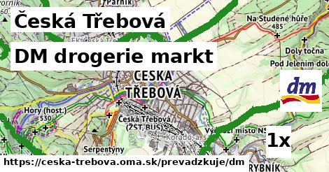 DM drogerie markt v Česká Třebová