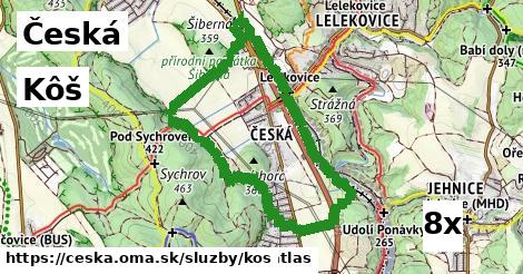 Kôš, Česká