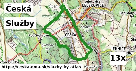 služby v Česká
