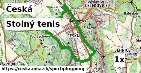 Stolný tenis, Česká