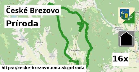 príroda v České Brezovo