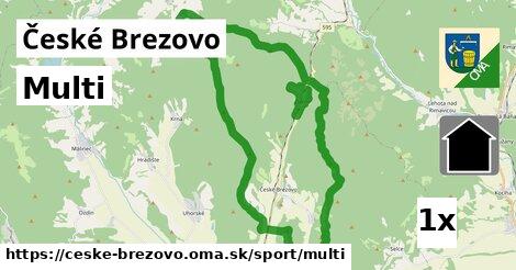 multi v České Brezovo