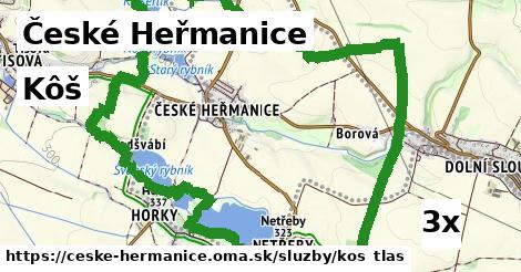 Kôš, České Heřmanice