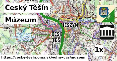 Múzeum, Český Těšín