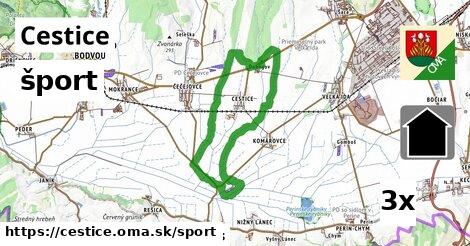 šport v Cestice