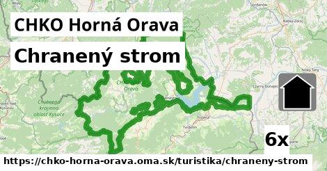 Chranený strom, CHKO Horná Orava