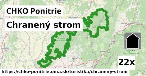 chranený strom v CHKO Ponitrie