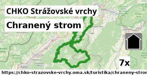 Chranený strom, CHKO Strážovské vrchy