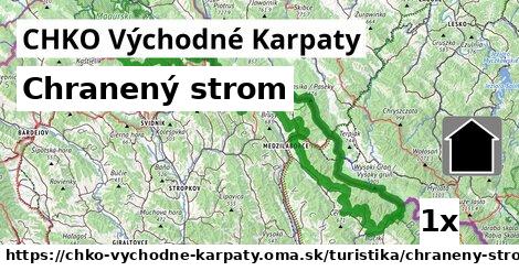 Chranený strom, CHKO Východné Karpaty