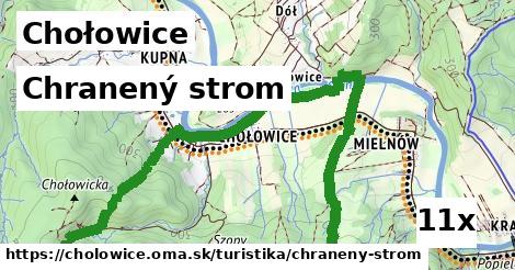 Chranený strom, Chołowice