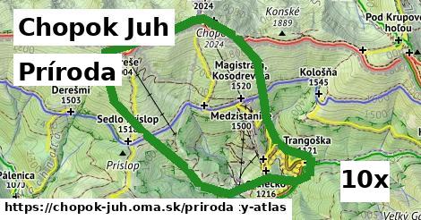 príroda v Chopok Juh