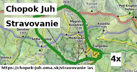 stravovanie v Chopok Juh