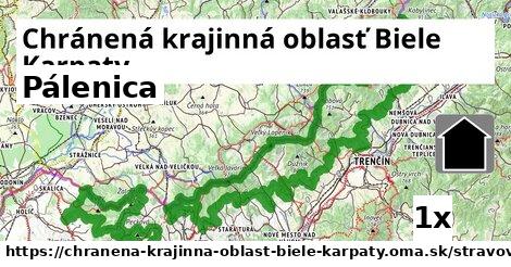 Pálenica, Chránená krajinná oblasť Biele Karpaty