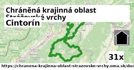 Cintorín, Chráněná krajinná oblast Strážovské vrchy