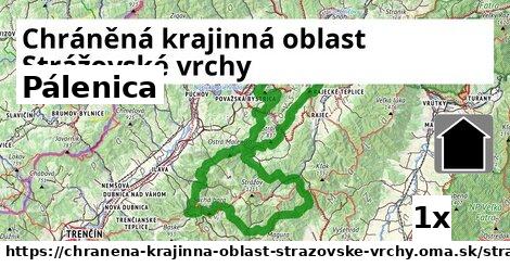 Pálenica, Chráněná krajinná oblast Strážovské vrchy