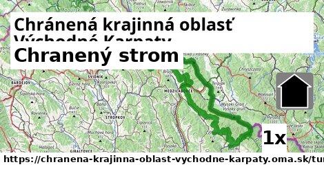 Chranený strom, Chránená krajinná oblasť Východné Karpaty