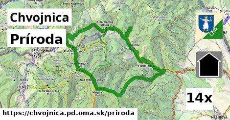 príroda v Chvojnica, okres PD