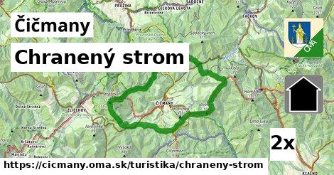 Chranený strom, Čičmany