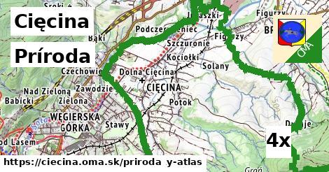 príroda v Cięcina