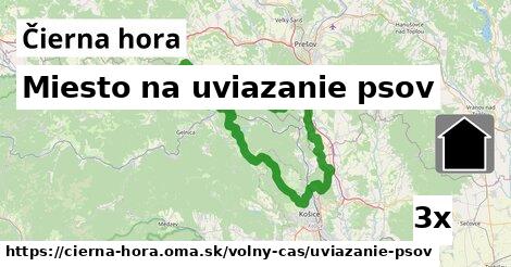 Miesto na uviazanie psov, Čierna hora