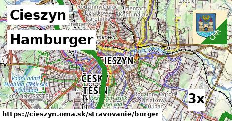 hamburger v Cieszyn