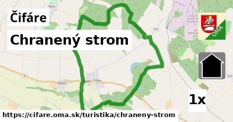 Chranený strom, Čifáre