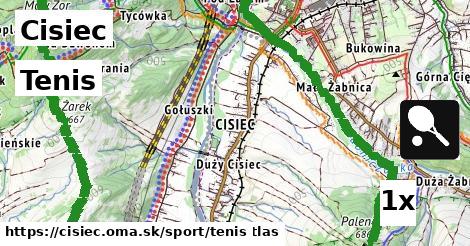 Tenis, Cisiec