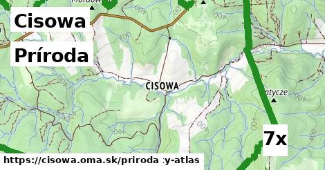 príroda v Cisowa