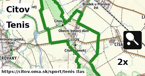 Tenis, Citov