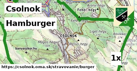 Hamburger, Csolnok