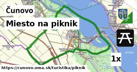 Miesto na piknik, Čunovo