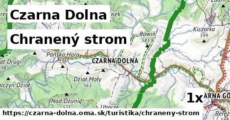 Chranený strom, Czarna Dolna