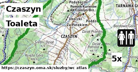 Toaleta, Czaszyn