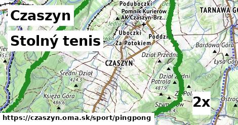Stolný tenis, Czaszyn