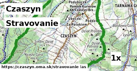 stravovanie v Czaszyn