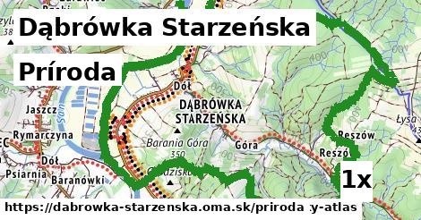 príroda v Dąbrówka Starzeńska