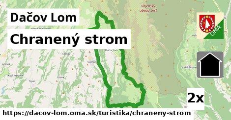 Chranený strom, Dačov Lom